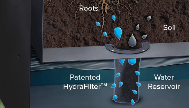Classic Displays self-watering planter system diagram showing roots drawing water from reservoir through HydraFilter to keep soil evenly hydrated.